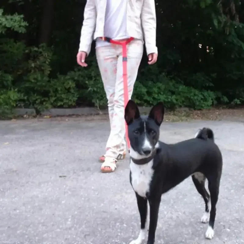 Adjustable Waist Accessories - Fashionsarah.com