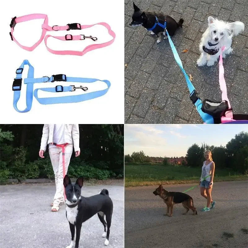 Adjustable Waist Accessories - Fashionsarah.com