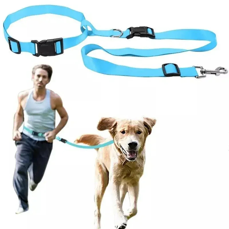 Adjustable Waist Accessories - Fashionsarah.com