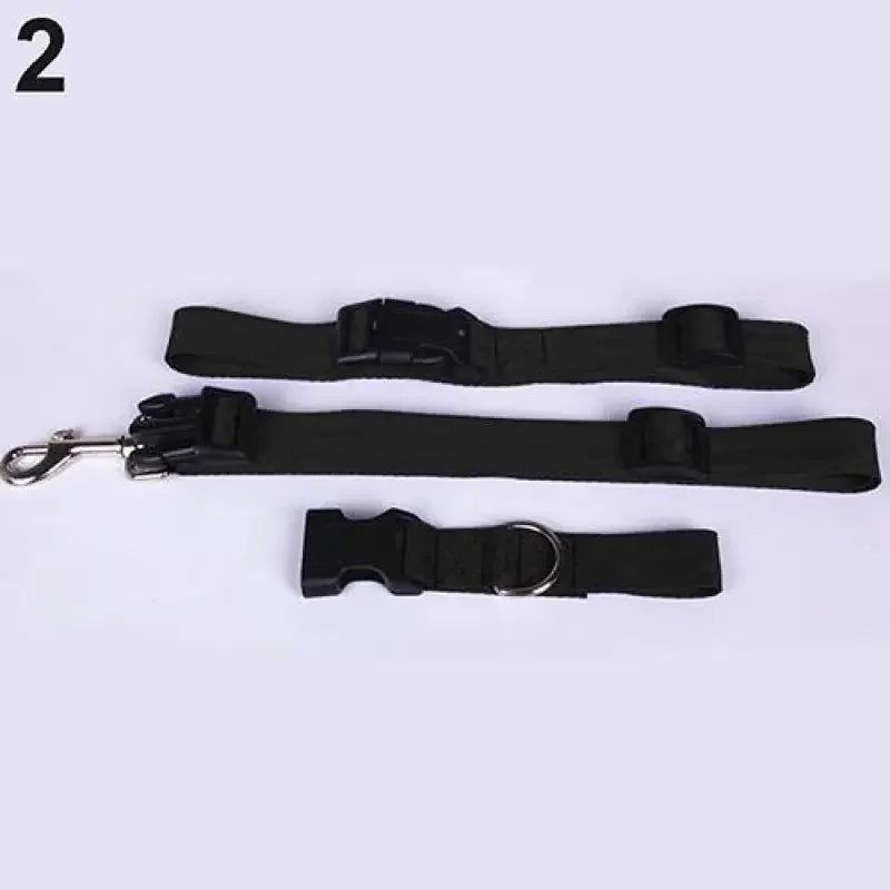 Adjustable Waist Accessories - Fashionsarah.com