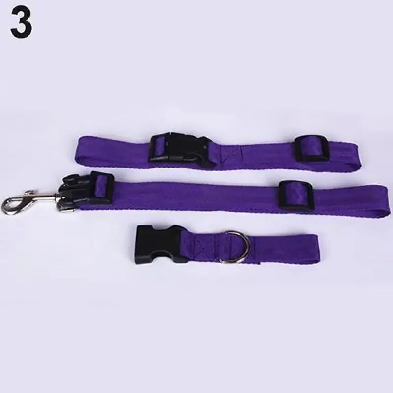 Adjustable Waist Accessories - Fashionsarah.com