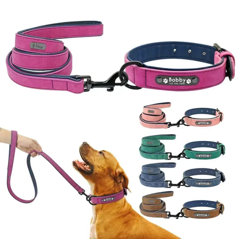 Personalized Pets Collar & Walking Leashes | Fashionsarah.com