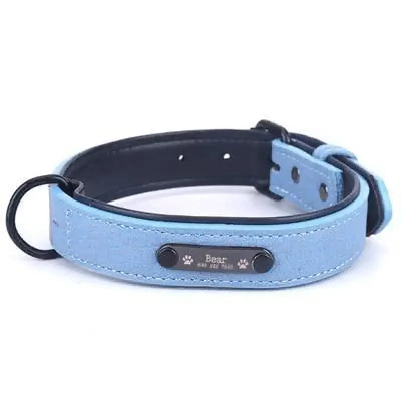Personalized Pets Collar & Walking Leashes | Fashionsarah.com