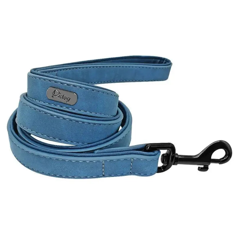 Personalized Pets Collar & Walking Leashes | Fashionsarah.com