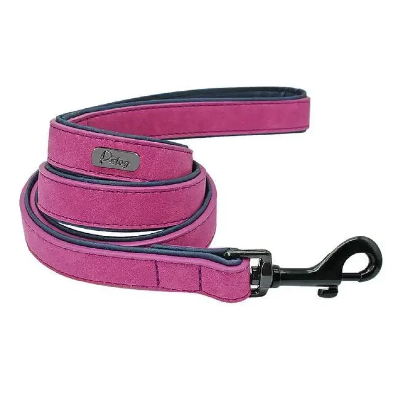 Personalized Pets Collar & Walking Leashes | Fashionsarah.com