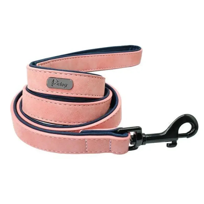 Personalized Pets Collar & Walking Leashes | Fashionsarah.com