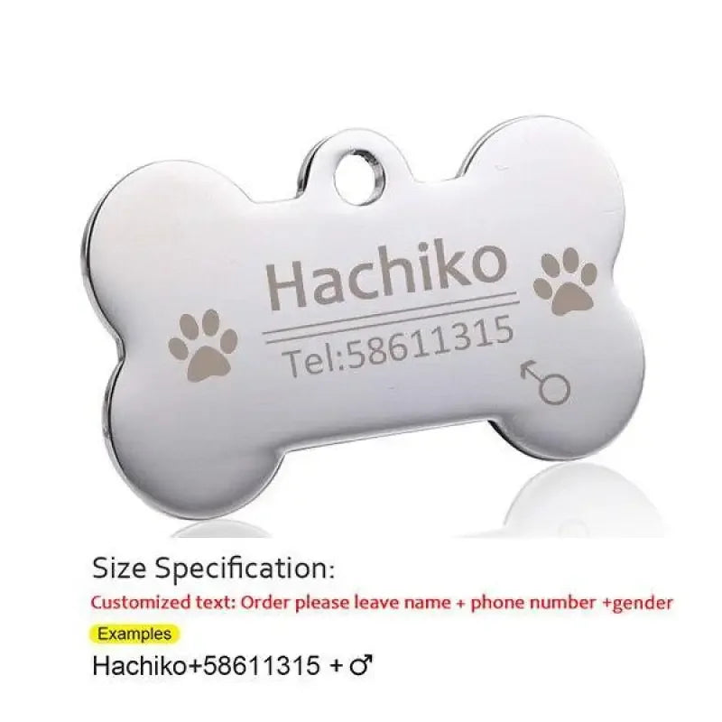 Personalized Pets Collar & Walking Leashes | Fashionsarah.com