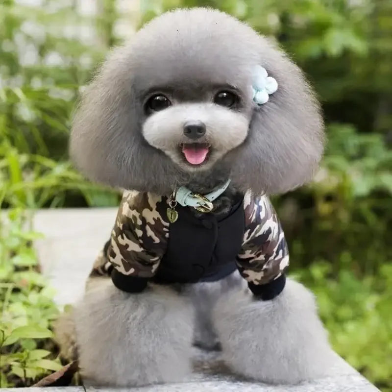 FBI Pet Outfit | Fashionsarah.com