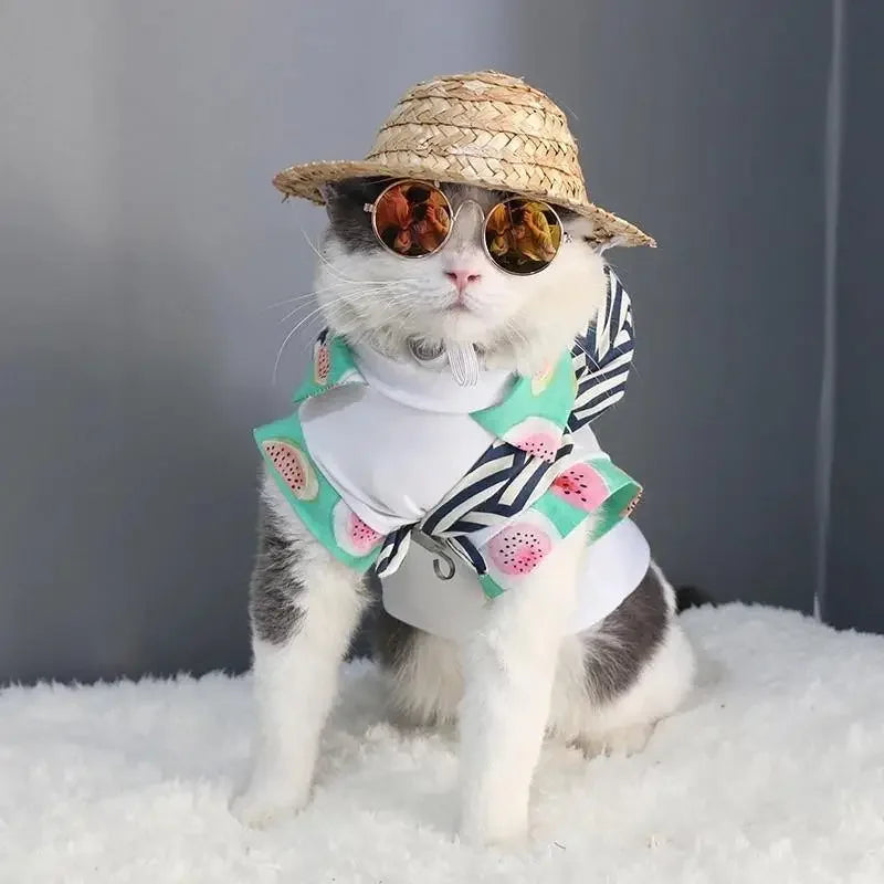 Lovely Pet Glasses | Fashionsarah.com