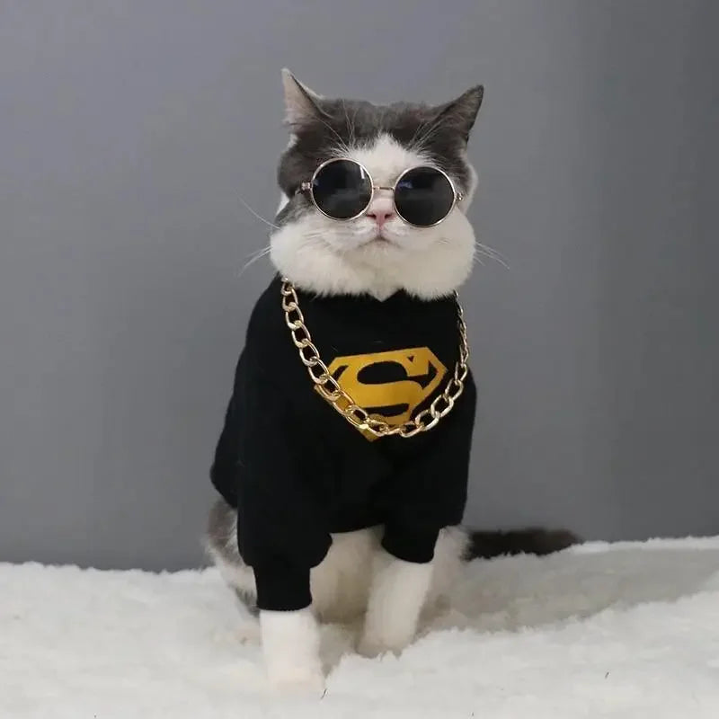 Lovely Pet Glasses | Fashionsarah.com