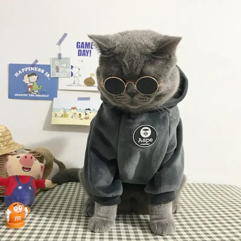 Lovely Pet Glasses | Fashionsarah.com