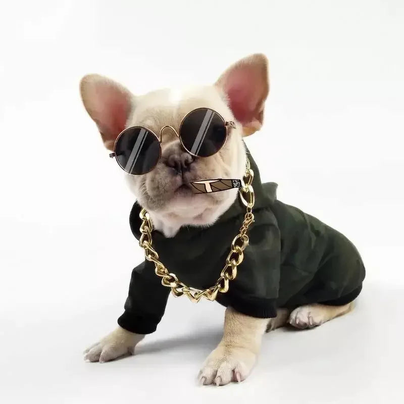 Lovely Pet Glasses | Fashionsarah.com