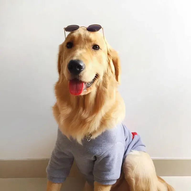 Lovely Pet Glasses | Fashionsarah.com