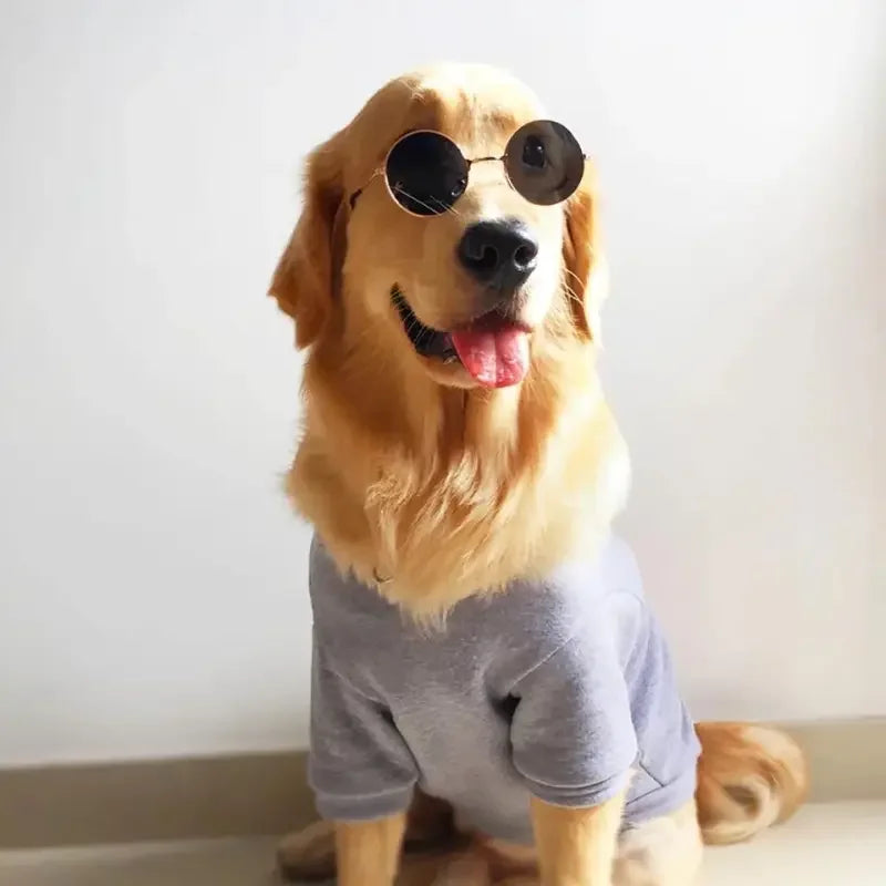 Lovely Pet Glasses | Fashionsarah.com
