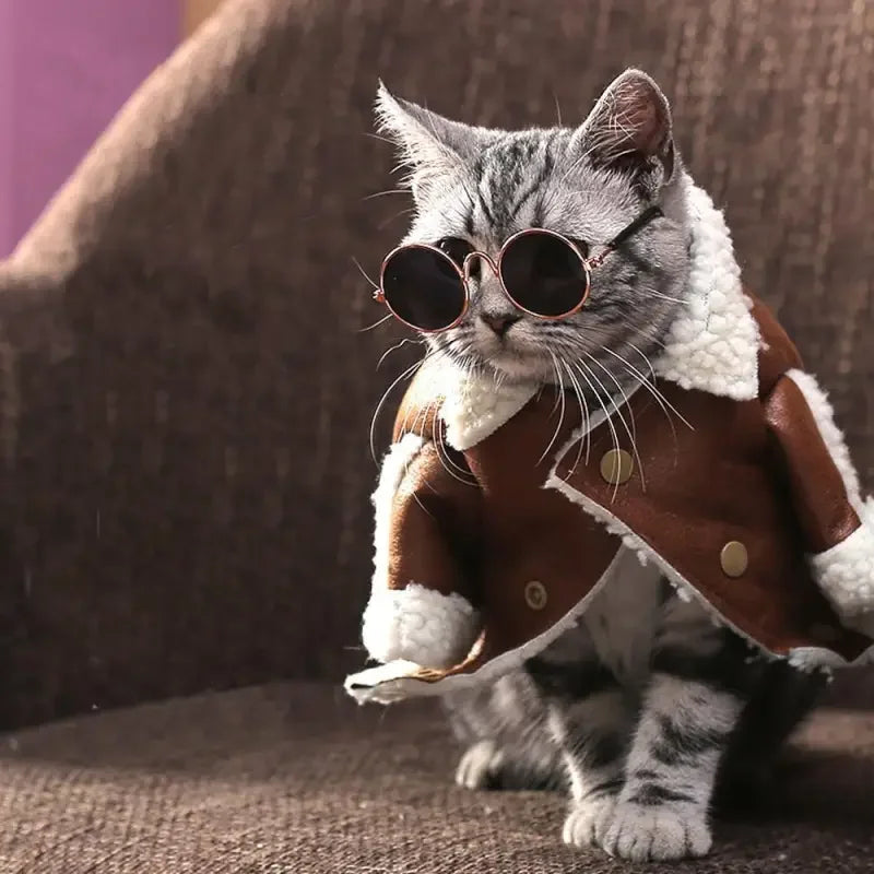 Lovely Pet Glasses | Fashionsarah.com