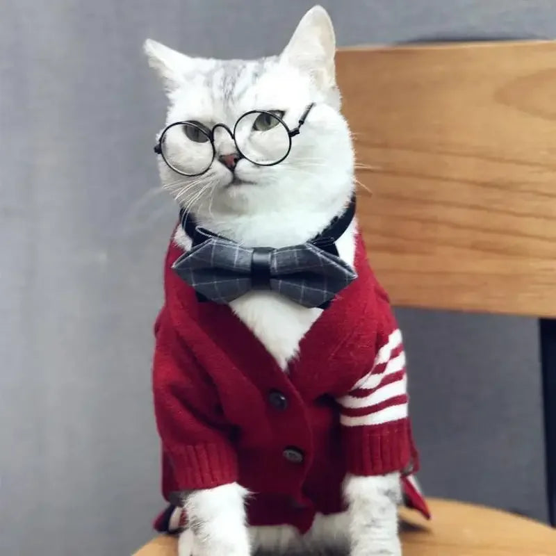 Lovely Pet Glasses | Fashionsarah.com