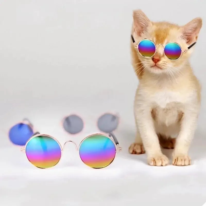 Lovely Pet Glasses | Fashionsarah.com