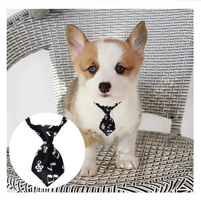 Pet Fashion ties | Fashionsarah.com