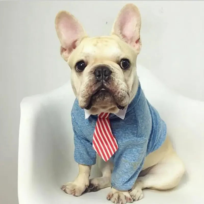 Pet Fashion ties | Fashionsarah.com