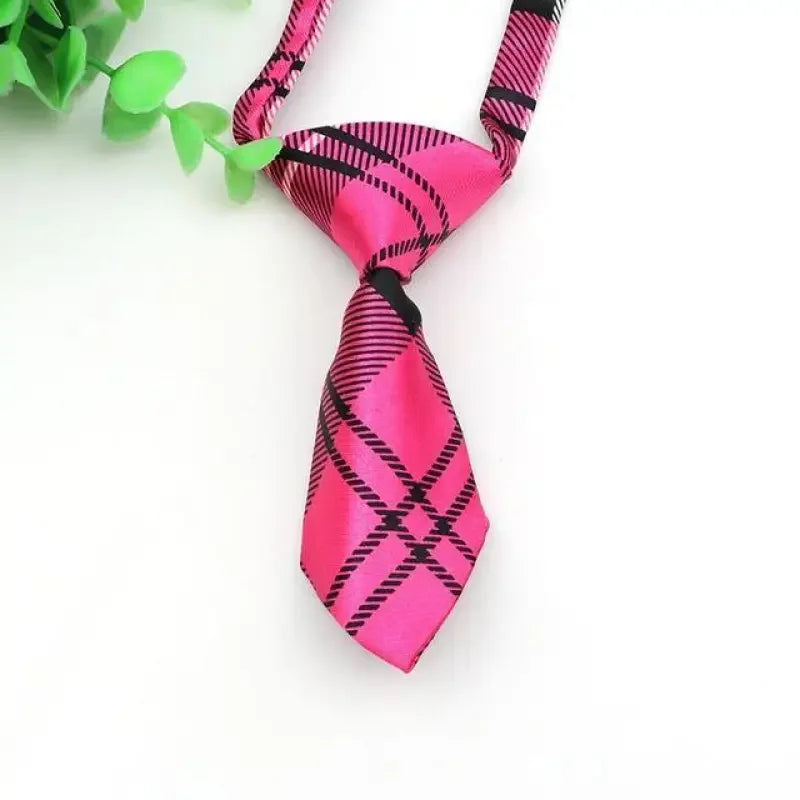 Pet Fashion ties | Fashionsarah.com