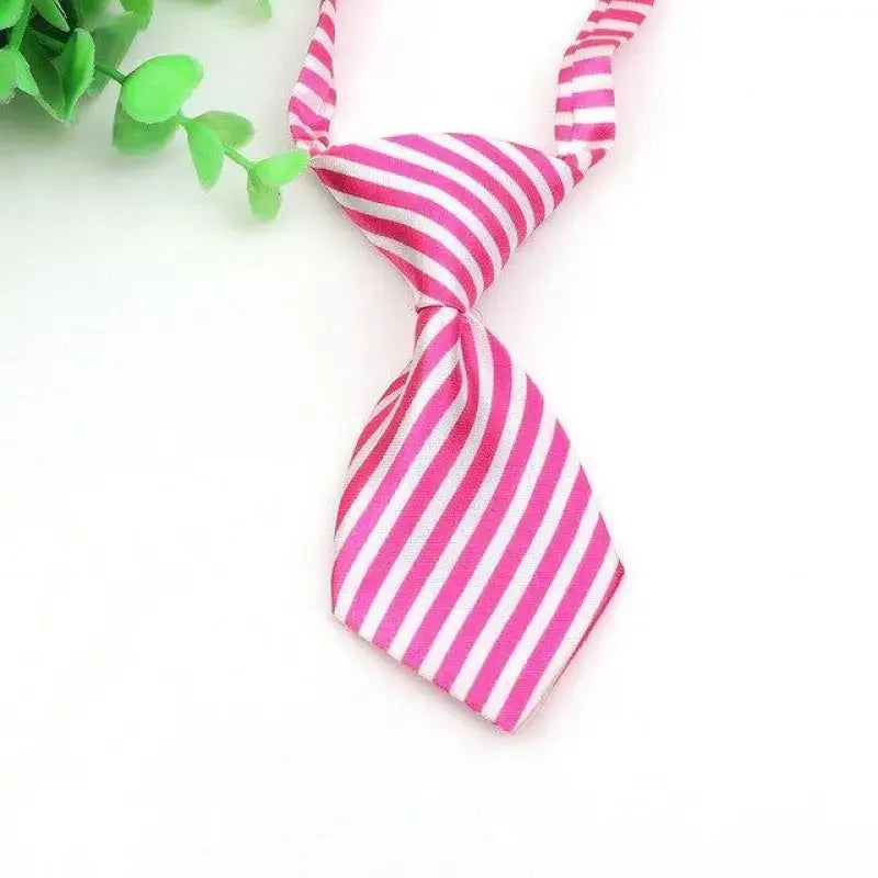 Pet Fashion ties | Fashionsarah.com