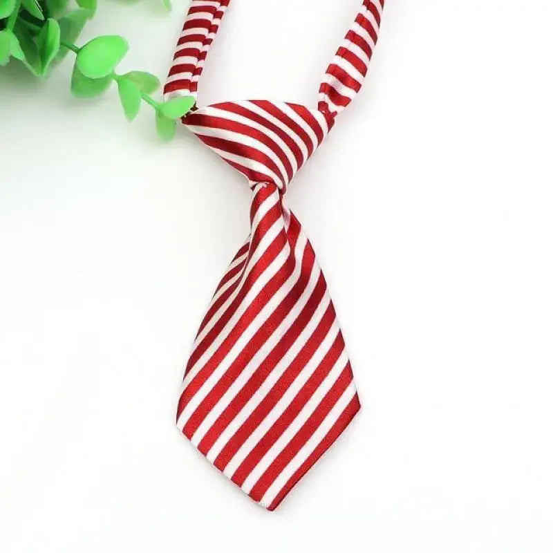 Pet Fashion ties | Fashionsarah.com