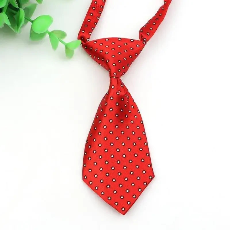 Pet Fashion ties | Fashionsarah.com