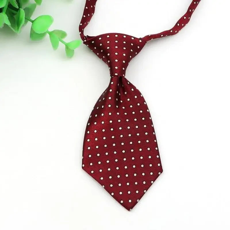 Pet Fashion ties | Fashionsarah.com