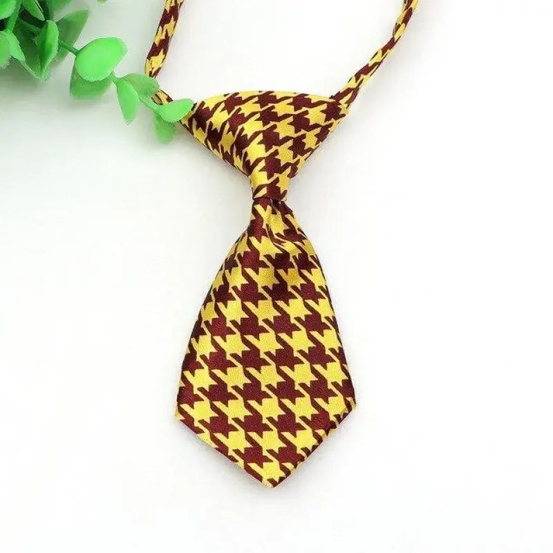 Pet Fashion ties | Fashionsarah.com
