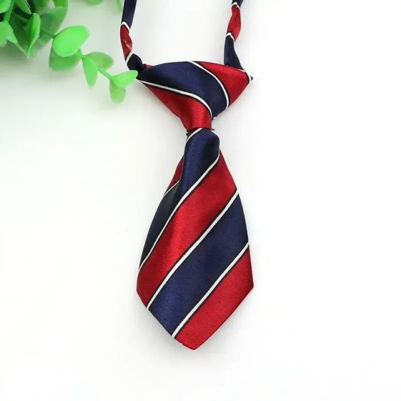 Pet Fashion ties | Fashionsarah.com