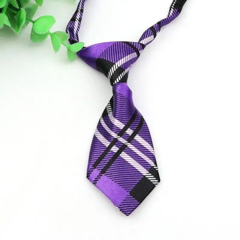 Pet Fashion ties | Fashionsarah.com
