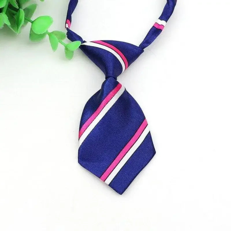 Pet Fashion ties | Fashionsarah.com