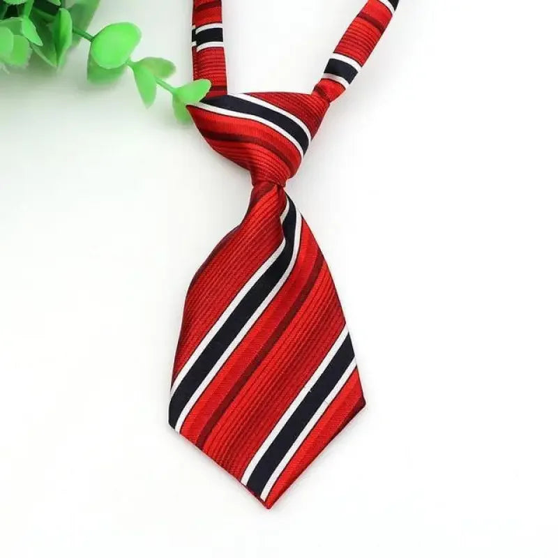 Pet Fashion ties | Fashionsarah.com