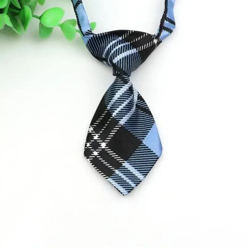 Pet Fashion ties | Fashionsarah.com