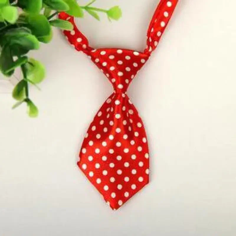 Pet Fashion ties | Fashionsarah.com