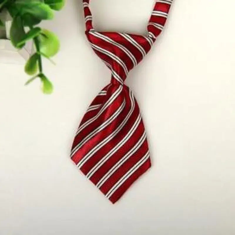Pet Fashion ties | Fashionsarah.com