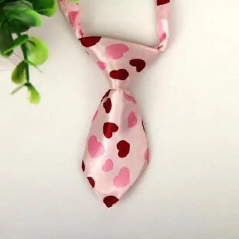 Pet Fashion ties | Fashionsarah.com