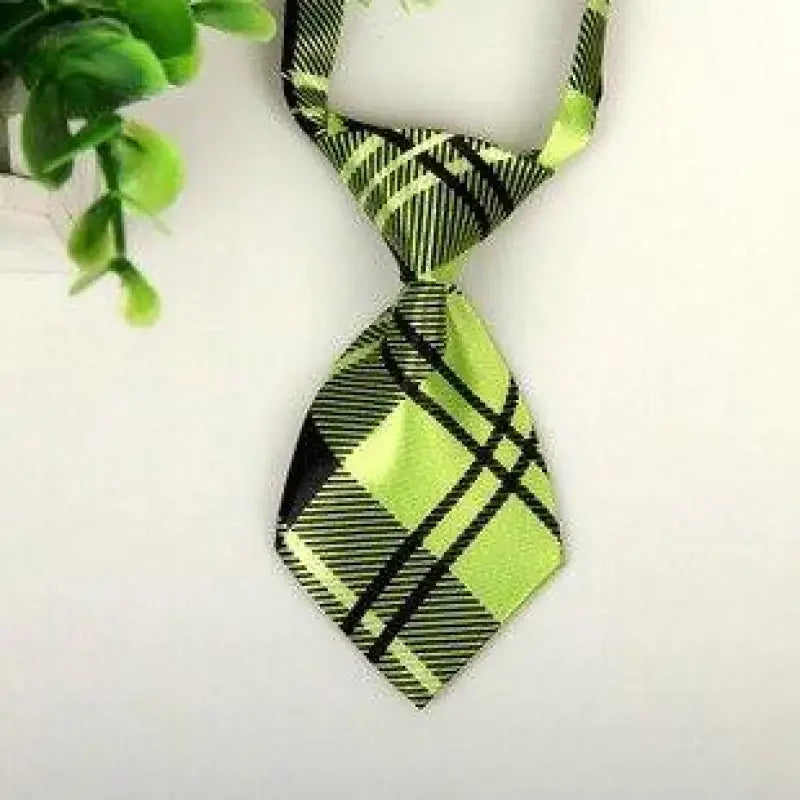 Pet Fashion ties | Fashionsarah.com