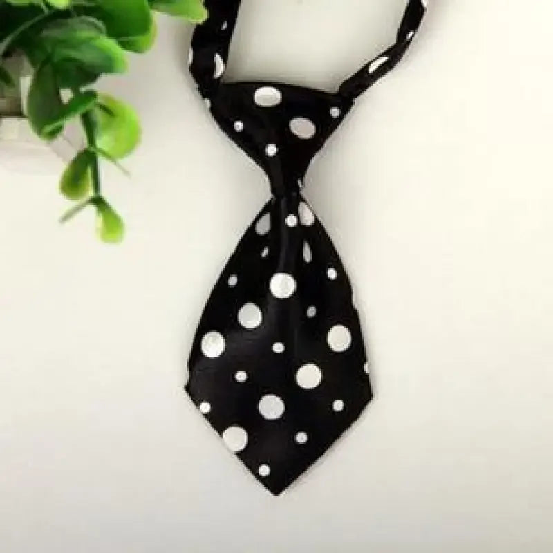 Pet Fashion ties | Fashionsarah.com