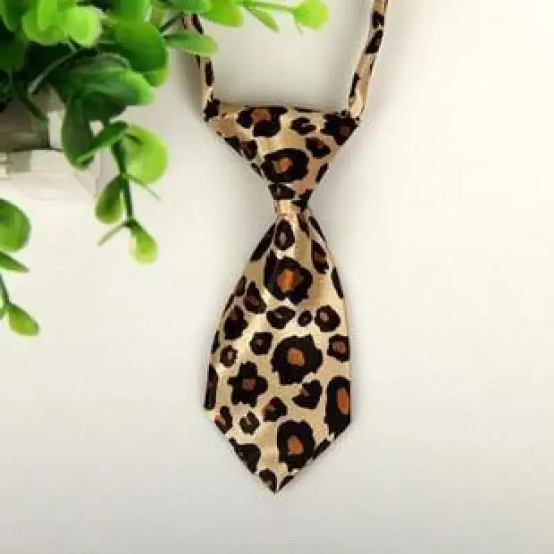 Pet Fashion ties | Fashionsarah.com
