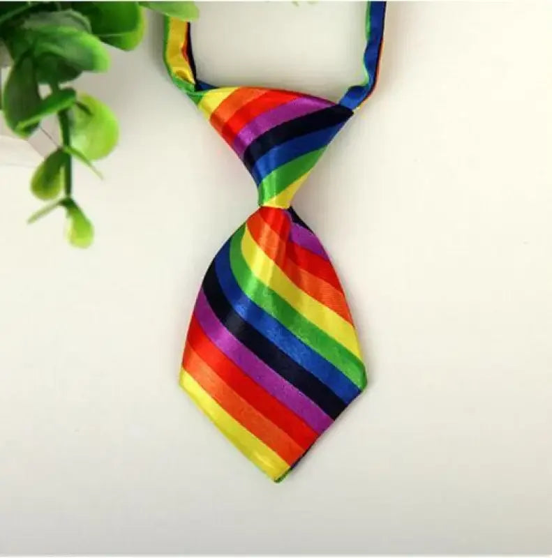 Pet Fashion ties | Fashionsarah.com