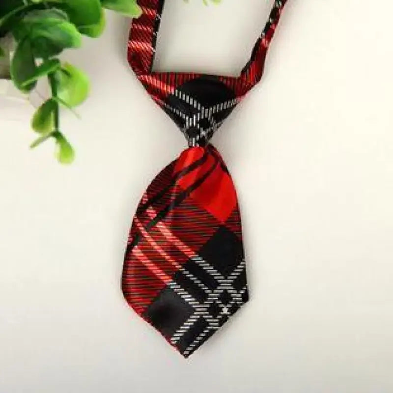 Pet Fashion ties | Fashionsarah.com