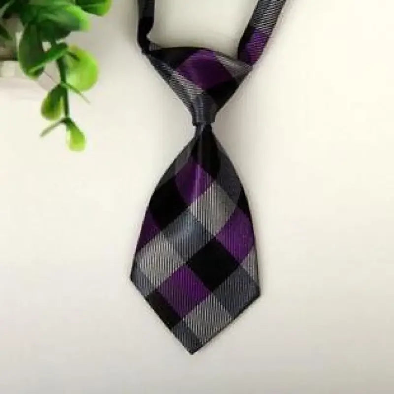 Pet Fashion ties | Fashionsarah.com