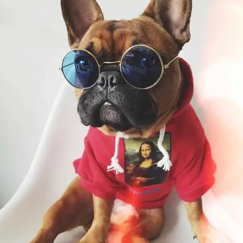 Dog Hoodies Clothes | Fashionsarah.com