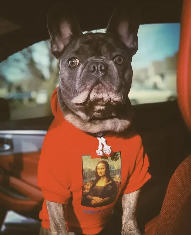 Dog Hoodies Clothes | Fashionsarah.com