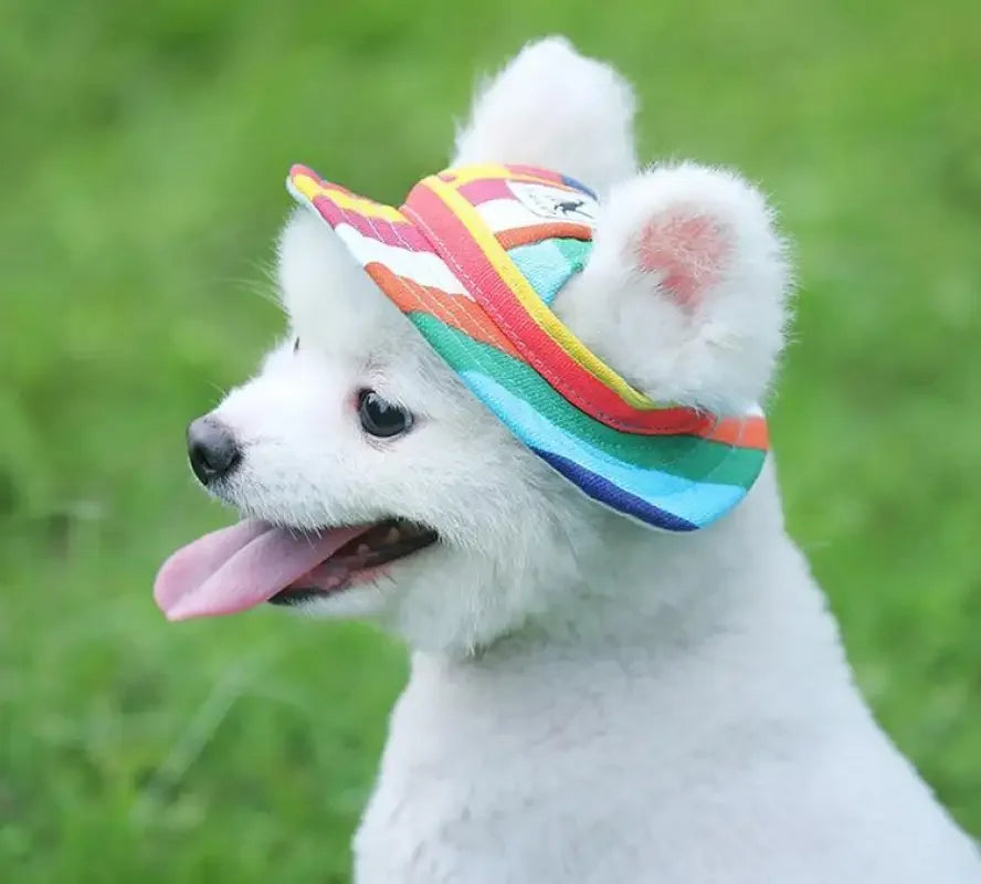 Cute Baseball Hats | Fashionsarah.com