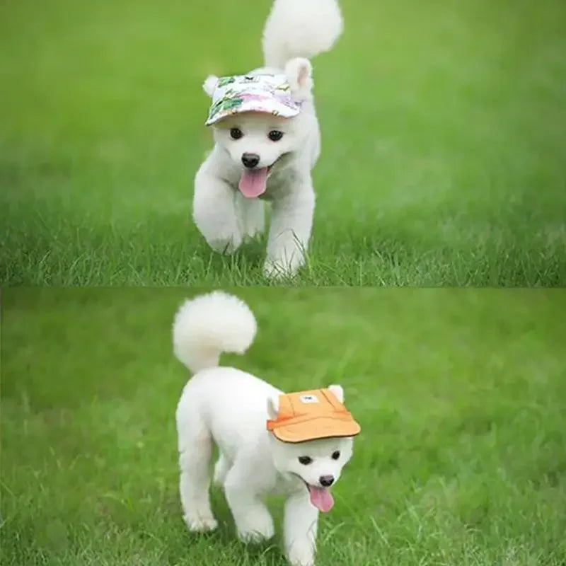 Cute Baseball Hats | Fashionsarah.com