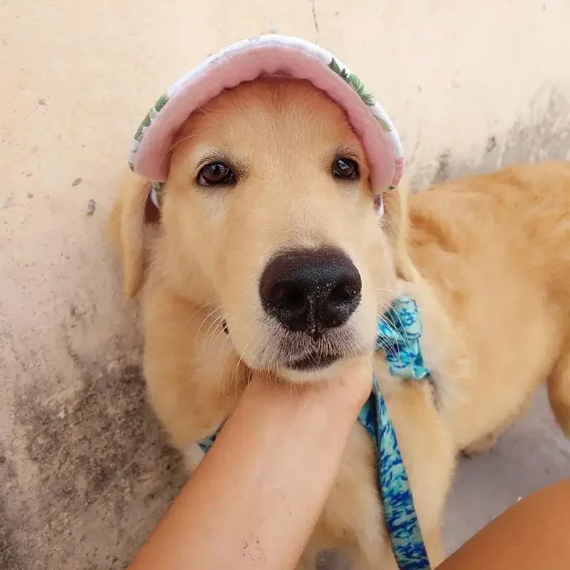 Cute Baseball Hats | Fashionsarah.com