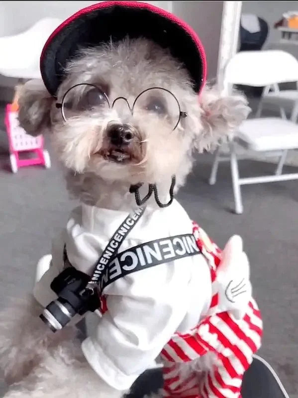 Cute Baseball Hats | Fashionsarah.com