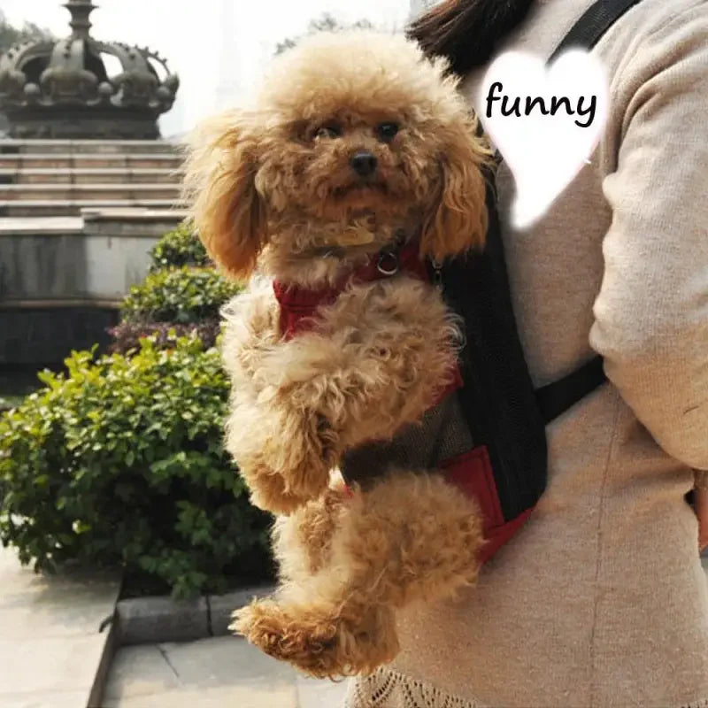 Pet carrier backpacks | Fashionsarah.com